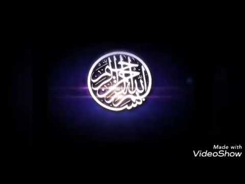 بذر ذرت 678 توصیف ویژگی های بذر ذرت از زبان کشاورزان