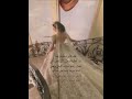 تهنئة اخت العروس بناسبه زفاف أختها عروس تصاميم عروسة