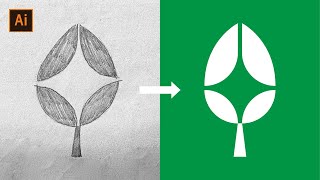 Logo Design Exercise Random Logo Design Star Leaf - Sketch To Vector