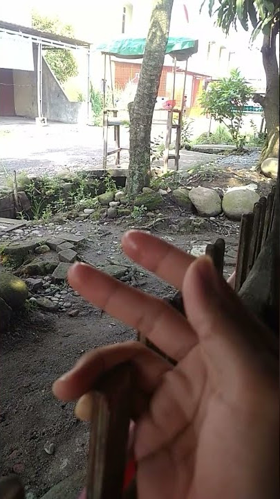 story' wa pisang goreng || #Shorts