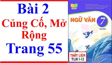 Ngữ Văn 7 Bài 2 | Củng Cố, Mở Rộng | Trang 55 | Kết Nối Tri Thức
