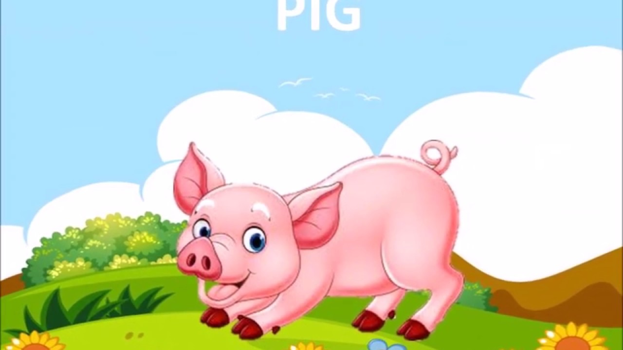 FARM ANIMALS YouTube