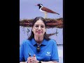 भारत ने मारी सेंचुरी! 🇮🇳 देश का 100वाँ रामसर स्थल बना जयप्रकाश नारायण बर्ड सैंक्चुअरी 🐦