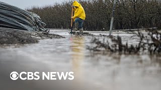 Torrential rain soaks California after historic drought