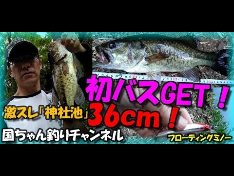 バス釣り hqdefault.jpg