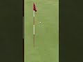 Flagstick denies a hole-in-one 😫