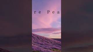 Deep Focus: Relaxing Andean Quena & Soft Piano | Calm Music for Study & Work