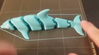 print of the week ep.49- articulated dolphin