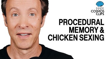 Procedural Memory & Chicken Sexing | INNER COSMOS WITH DAVID EAGLEMAN