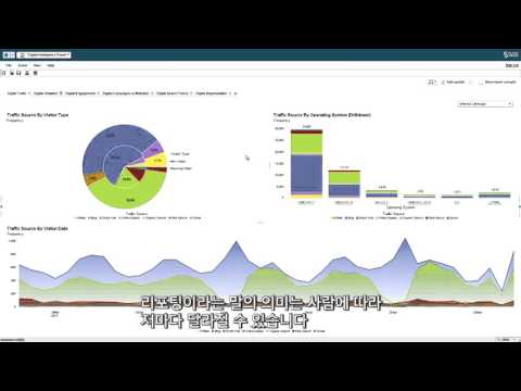 SAS Visual Analytics Reporting