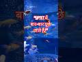 UPTET Hindi Grammar 2026 🔥 |Important Points for TET| 100% Important Questions | CTET/TGT #tet #ctet