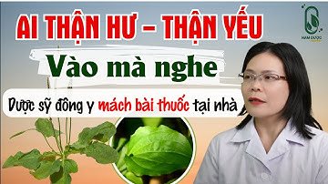 Bác Nào Thận Hư, Thận Yếu, Vào Đây Nghe Dược Sỹ Đông Y Mách Bài Thuốc Tại Nhà | Nam Dược Toàn Thư