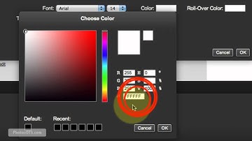 Step 4a - Create a Gorgeous Photography Website with SmugMug in 90 Mins