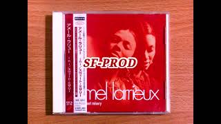 Amel Larrieux 2000 Sweet Misery (Hit District Remix With ad Libs) (CD Single)