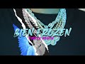 BIEN FROZEN - FUERZA REGIDA (2020)