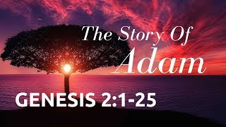 GENESIS 2:1-25 "THE STORY OF ADAM" NIV  Female Narration