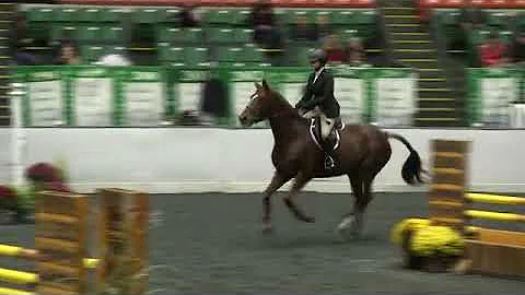 Video of BARDOT ridden by KELLEY MCCORMICK from Sh...