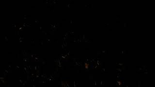 [4K] Fire Embers Overlay - Stock Video