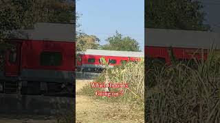 Super Fast Express Train 🔥🔥 #train #railtrack #railway #locomotive @Railwaytoday123 @TOPTAK