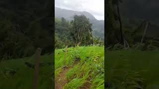 2025 ka lo cang thel coeng oe.