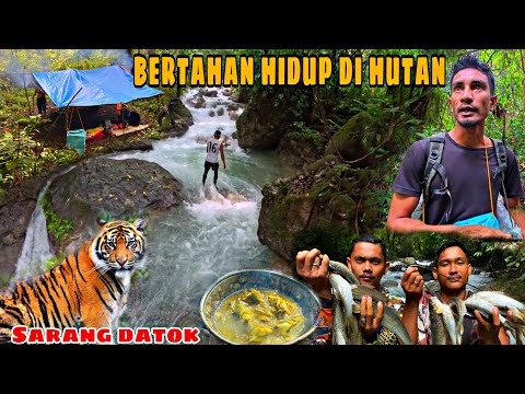 FISHINGCAMP ADVANTURE || 3 hari Bertahan hidup di hutan, memasak hasil alam,dan membangun shelter..
