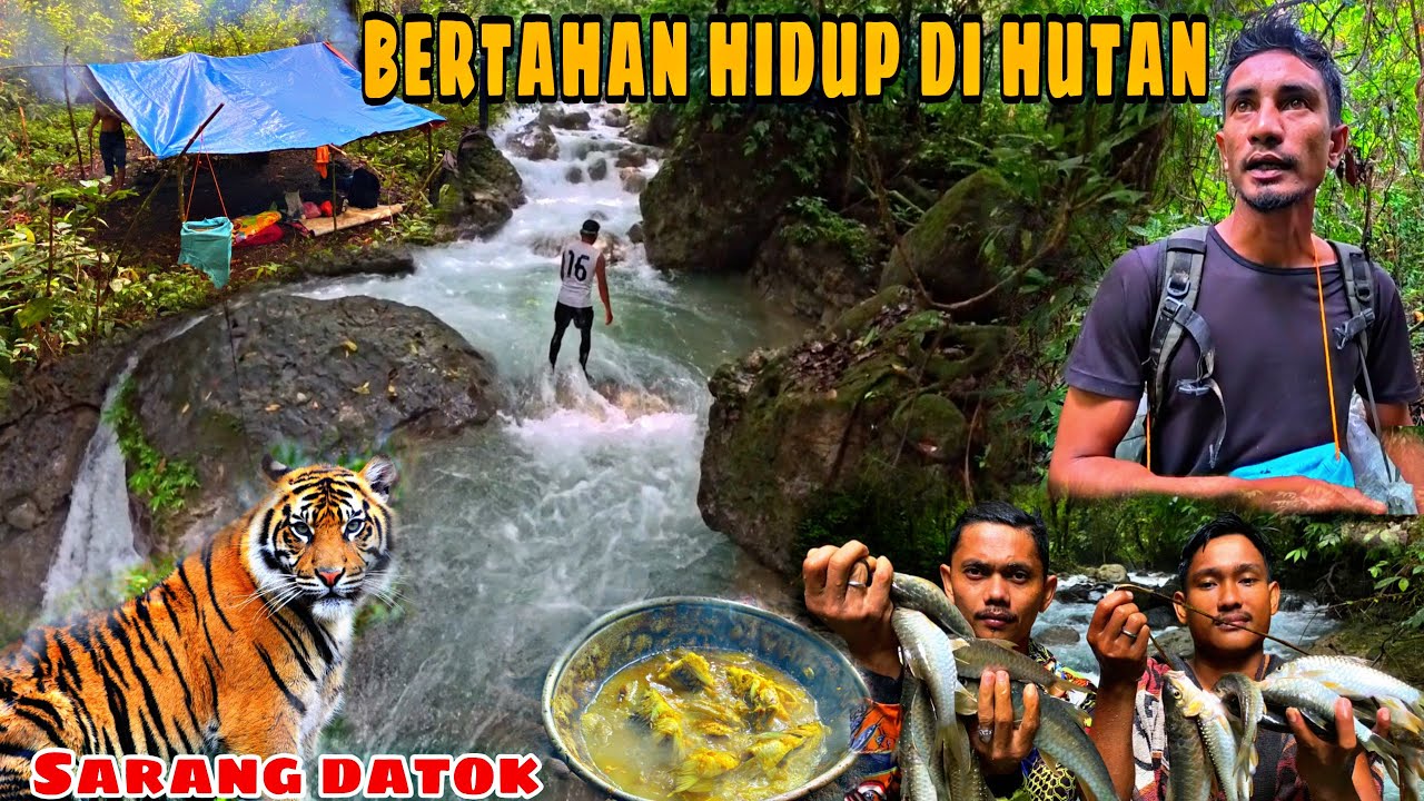 FISHINGCAMP ADVANTURE || 3 hari Bertahan hidup di hutan, memasak hasil alam,dan membangun shelter..
