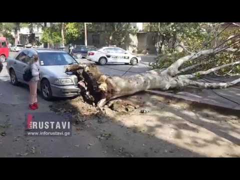 ახდილი სახურავები, ჩამონგრეული აივანი და მოგლეჯილი ხეები