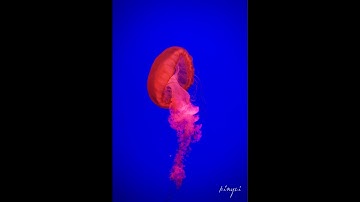 Subordinate conjunctions of time and reason