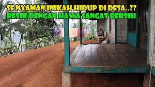 Download Lagu Anda Akan Merasa Sangat Nyaman Tinggal Disini..Pemandangan Sawah Yang Luas Dan Resik. MP3