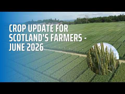 Crop Update for Scotland's Farmers - June 2026