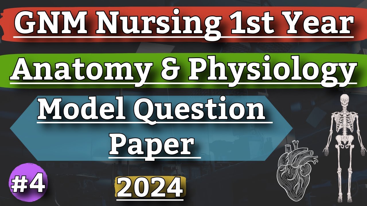 Anatomy and Physiology Model Question 2024 // Gnm Nursing 1st Year ...