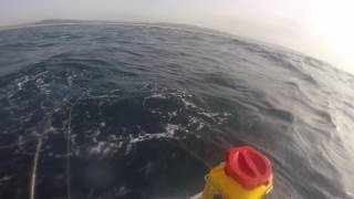 Jetski Fishing KZN  TUNA & CUDA