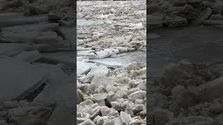 The Grand River ! #winter #ice
