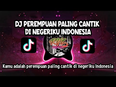 DJ PEREMPUAN PALING CANTIK DI NEGERIKU INDONESIA || REMIX VIRAL TIKTOK