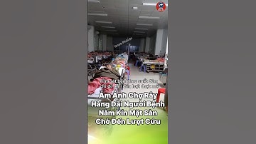 Ám Ảnh Chợ Rẫy! Hàng Dài Người Bệnh Nằm Kín Mặt Sàn Chờ Đến Lượt Cứu Mạng!” #tintuc #cuocsong