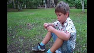 Пословицы Пословицы