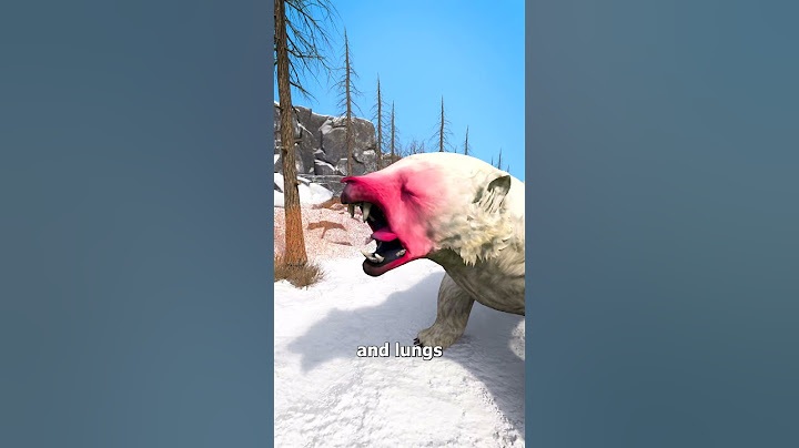 Using Bear Spray On A Polar Bear 😨