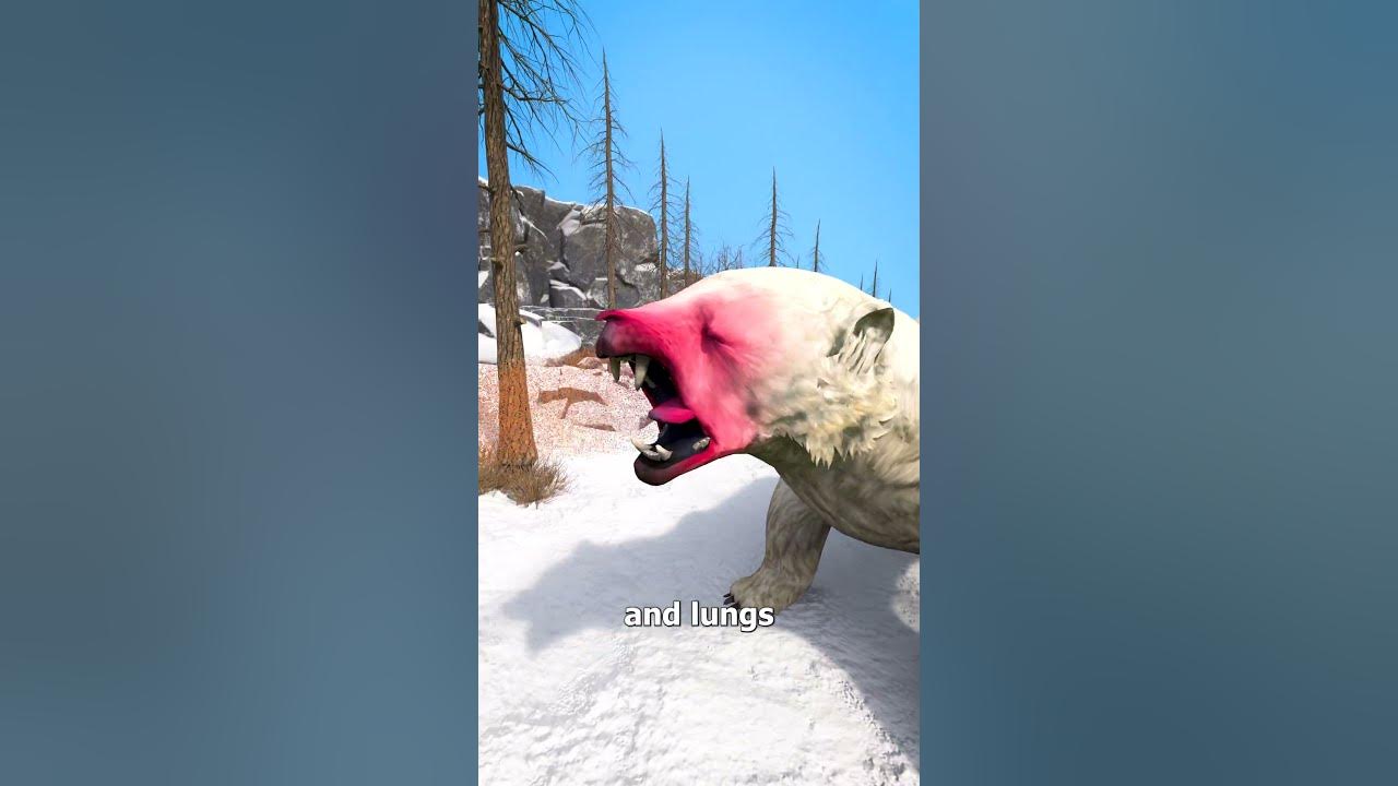 Using Bear Spray On A Polar Bear 😨