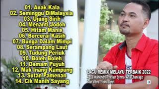 Lagu Remix Melayu Terbaik 2022  - Agus Mahendra - Yeyen Zymra - Aris Chaniago