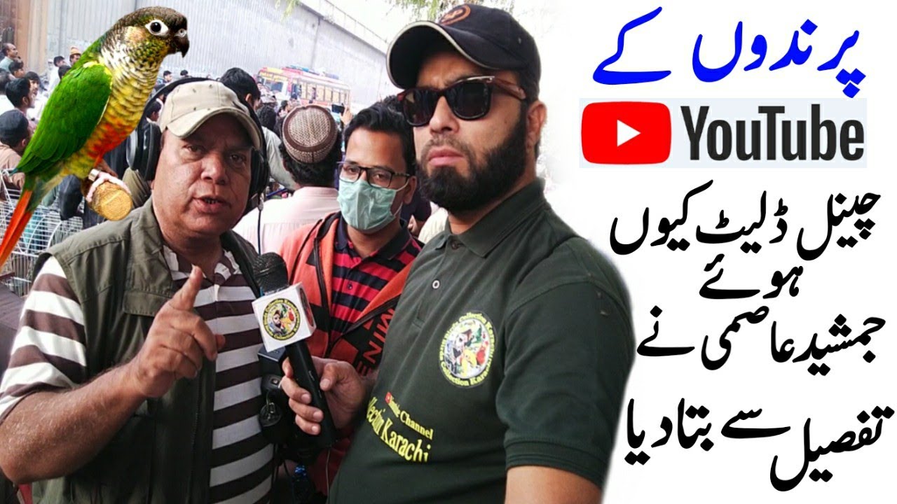Why Youtube Delete Birds Channel Explained Jamshed Asmi