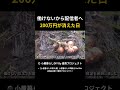 【無職の小屋暮らし】働けないから配信者へ 200万円が消えた日