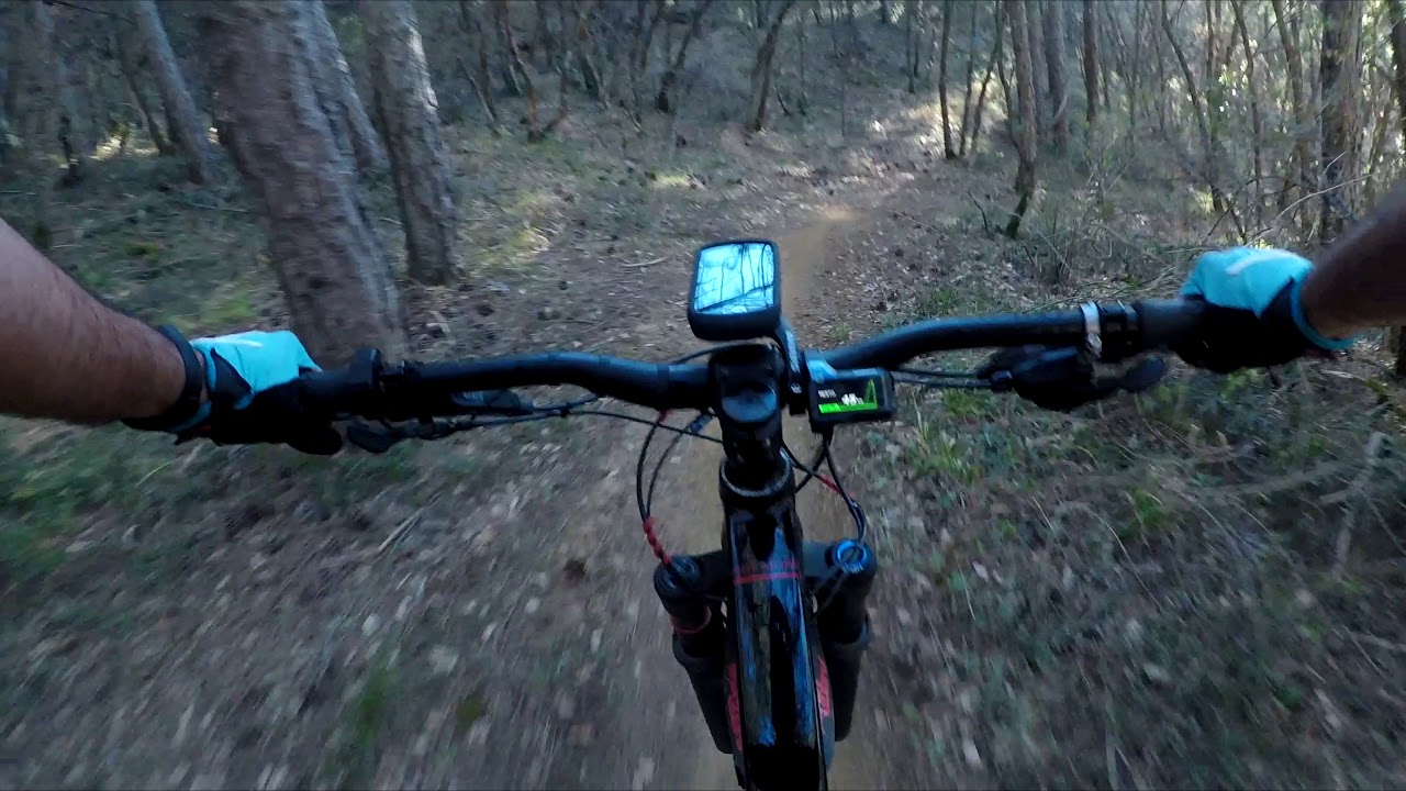 vitus sommet vr 2019