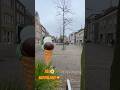 Tiel is een stad (Hanzestad) en gemeente in de Nederlandse provincie Gelderland. #keşfet #nederland