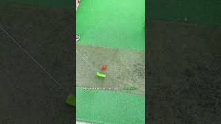Reunion Resort Florida Mini Golf