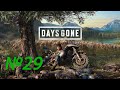 DAYS GONE REMASTERED Прохождение #29 Жизнь После Ремастер