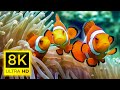Aquarium 8K VIDEO (ULTRA HD)🐠 Relaxing Oceanscapes - Sleep Meditation 8K UHD Screensaver