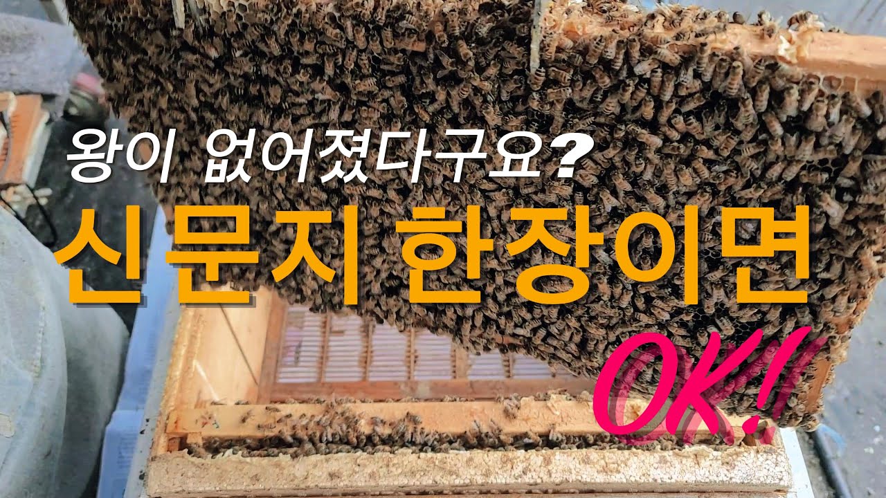 신문지 합봉법