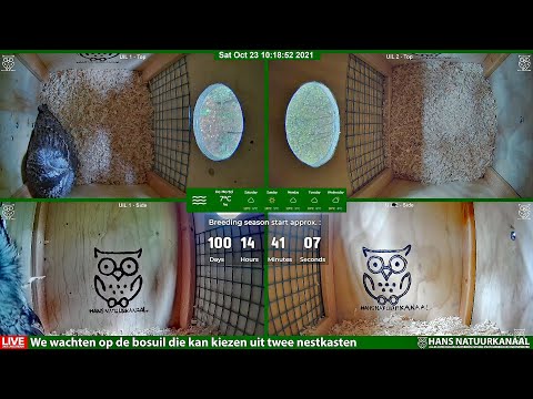 12HRS LIVE Bosuil