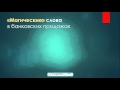 Мастер-класс "Искусство продаж банковских продуктов: продавайте красиво и легко"