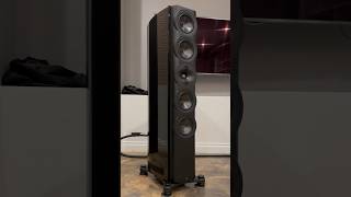 Perlisten S7T Limited Editions on demo. Limited to 50 pairs!  #hifi #audio #audiophile